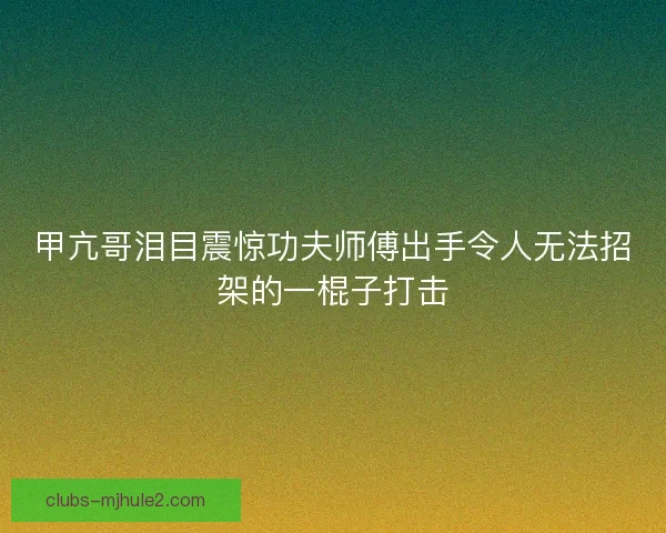 甲亢哥泪目震惊功夫师傅出手令人无法招架的一棍子打击