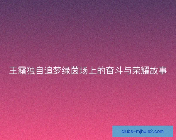 王霜独自追梦绿茵场上的奋斗与荣耀故事